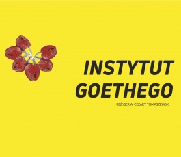 Instytut Goethego, reż. Cezary Tomaszewski. Teatr Dramatyczny w Wałbrzychu, premiera 19 listopada 2018