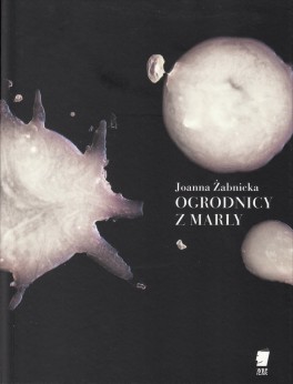 Joanna Żabnicka, „Ogrodnicy z Marly”. WBPiCAK, 52 strony, w księgarniach od grudnia 2016