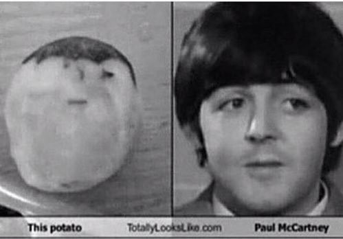 Paul McCartney i ziemniak