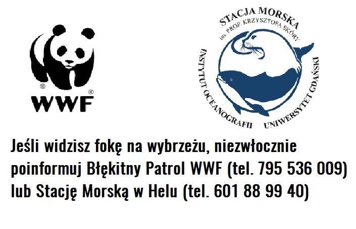 Znak WWF