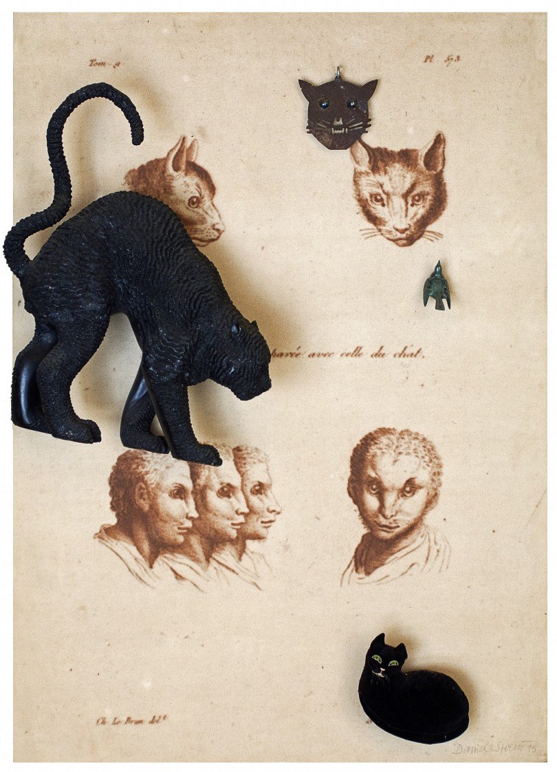 Daniel Spoerri, „Twarz ludzka zestawiona z głową kota”, 1995