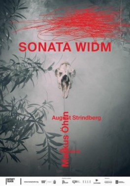 August Strindberg, „Sonata widm”, reż. Markus Ohrn. Nowy Teatr w Warszawie, premiera 20 stycznia 2017