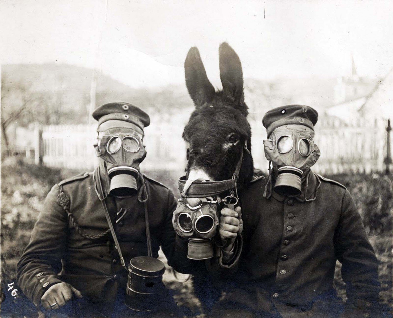 Niemieccy żołnierzy i muł w maskach gazowych 1916